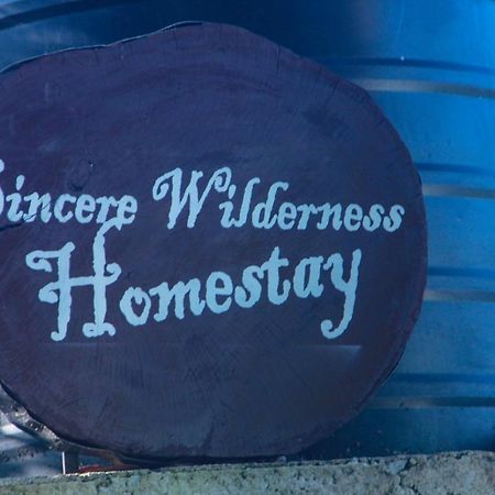 Sincere Wilderness Home Stay نوفارا إيلِيا المظهر الخارجي الصورة