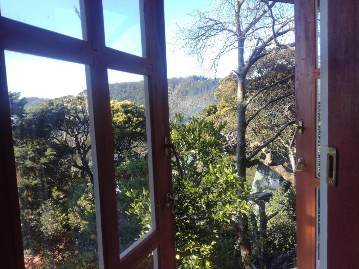 Sincere Wilderness Home Stay نوفارا إيلِيا المظهر الخارجي الصورة
