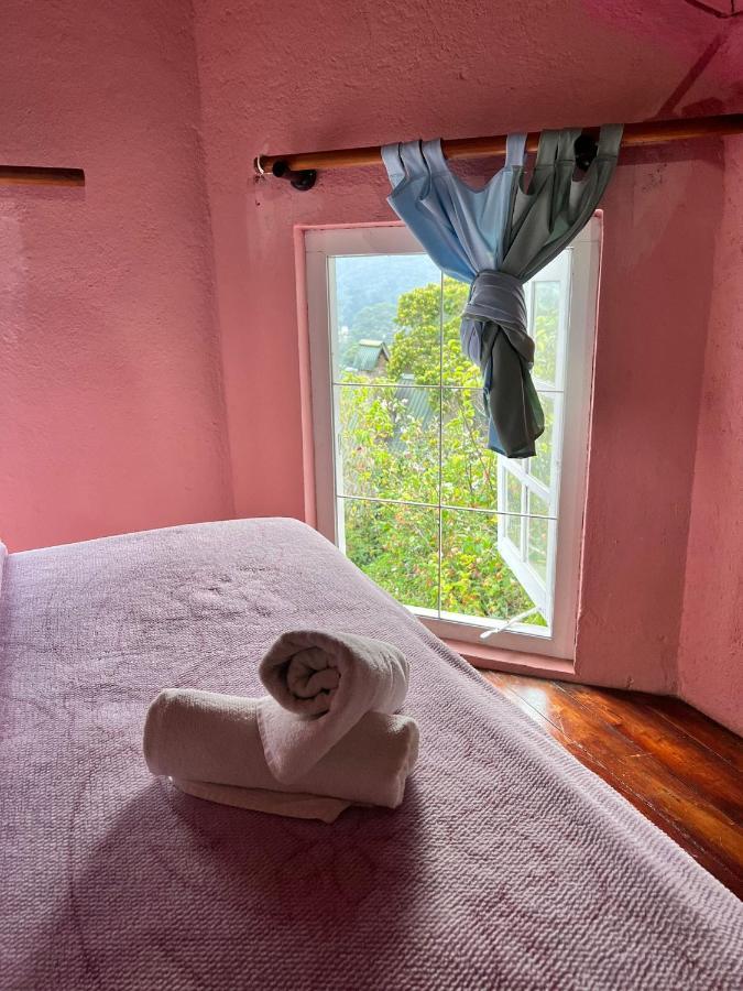 Sincere Wilderness Home Stay نوفارا إيلِيا المظهر الخارجي الصورة
