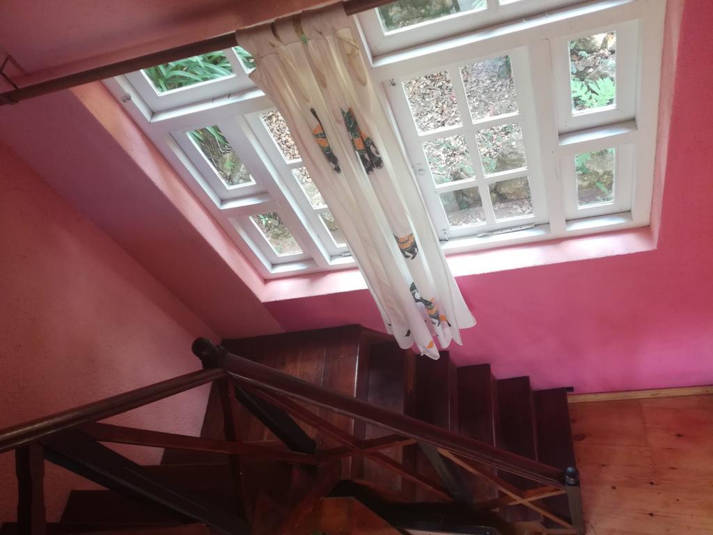 Sincere Wilderness Home Stay نوفارا إيلِيا المظهر الخارجي الصورة